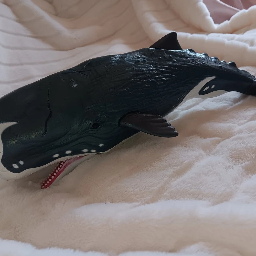 Whale big whale 14